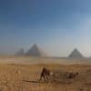Football News Today: Egypt Beat New Zealand 3-1 to Record The | Senegal Face Must-Win Clash Against Norw