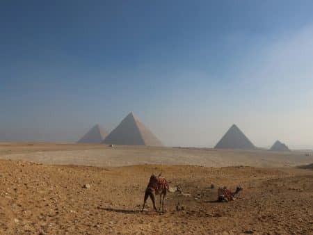 Football News Today: Egypt Beat New Zealand 3-1 to Record The | Senegal Face Must-Win Clash Against Norw